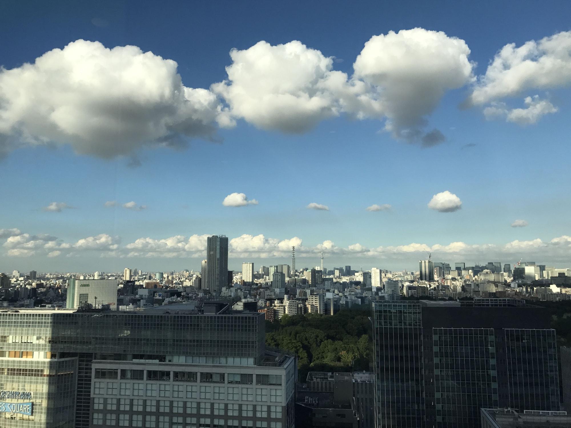 Odakyu Century Southern Tower Hotel 4*